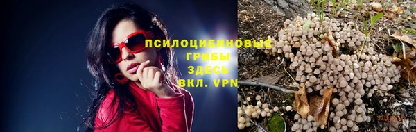 МДПВ Волосово