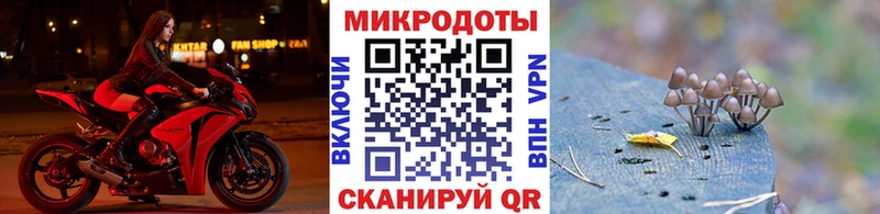 Псилоцибиновые грибы GOLDEN TEACHER  где продают наркотики  Добрянка 