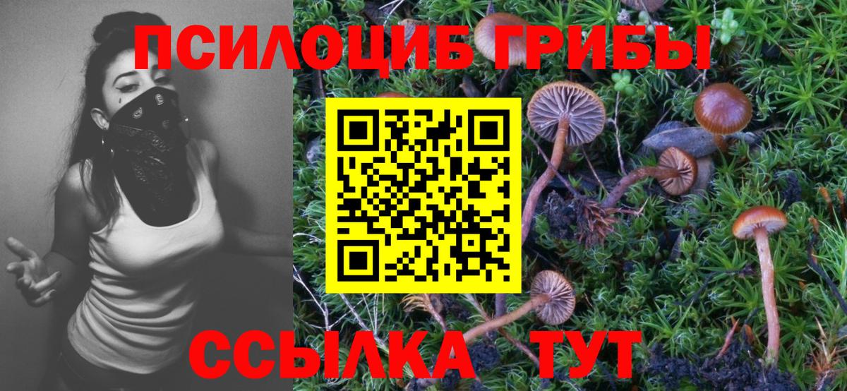 Псилоцибиновые грибы мухоморы  Галлюциногенные грибы ЛСД  Добрянка  Вход с VPN 