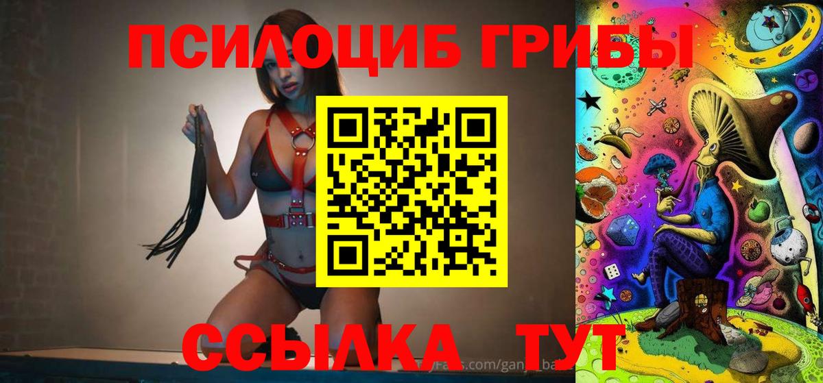 Псилоцибиновые грибы Cubensis Добрянка