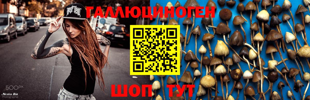 Галлюциногенные грибы Magic Shrooms  сколько стоит  Галлюциногенные грибы ЛСД  Добрянка 